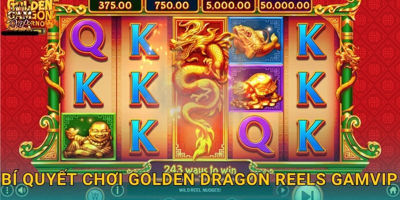 Bí quyết chơi Golden Dragon Reels Gamvip