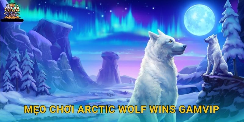 Mẹo chơi Arctic Wolf Wins Gamvip