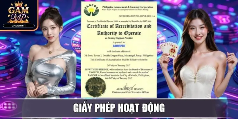 Giấy phép hoạt động
