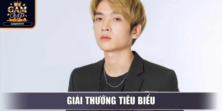 Giải thưởng tiêu biểu